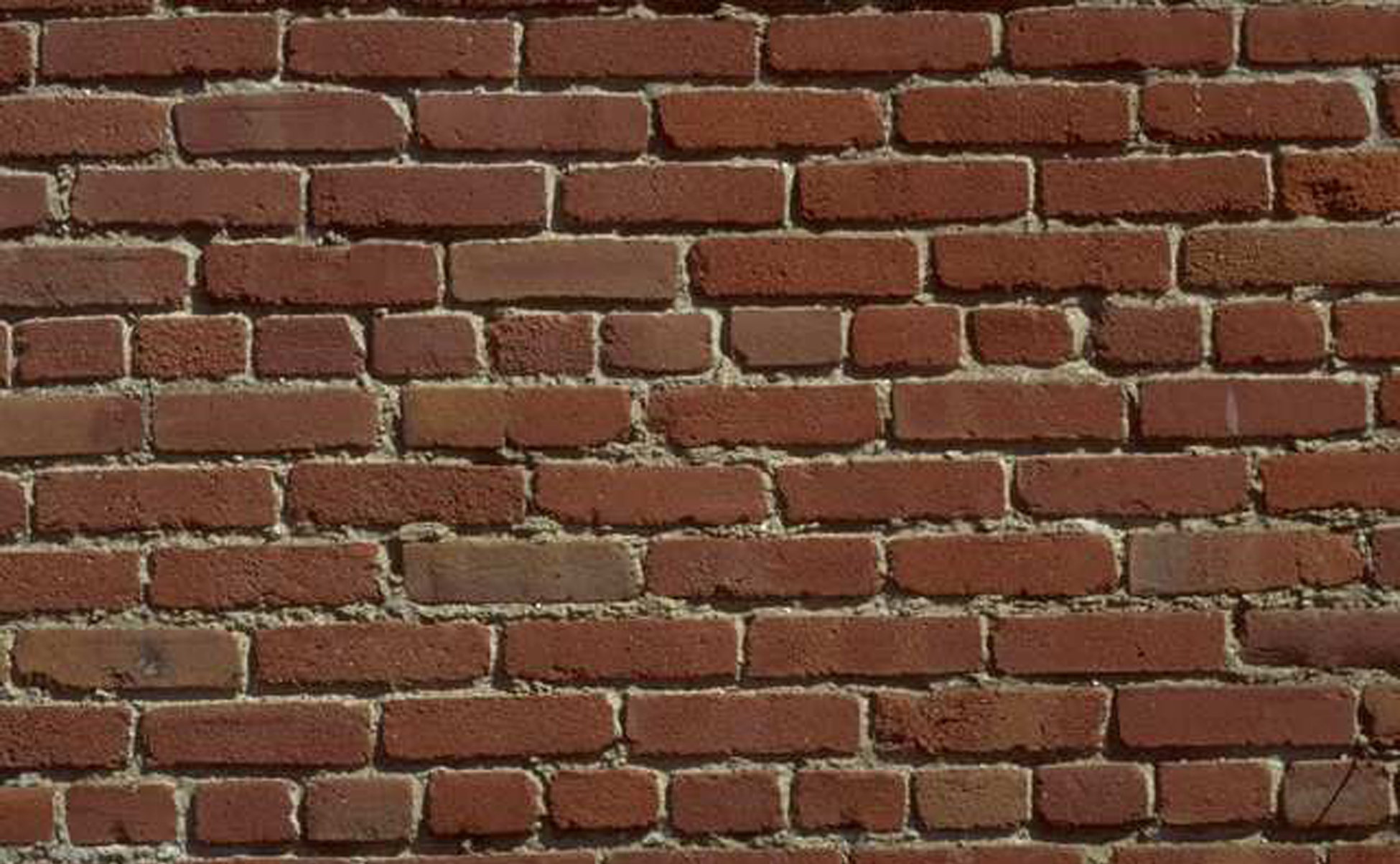 bricks, wall, texture, background, download