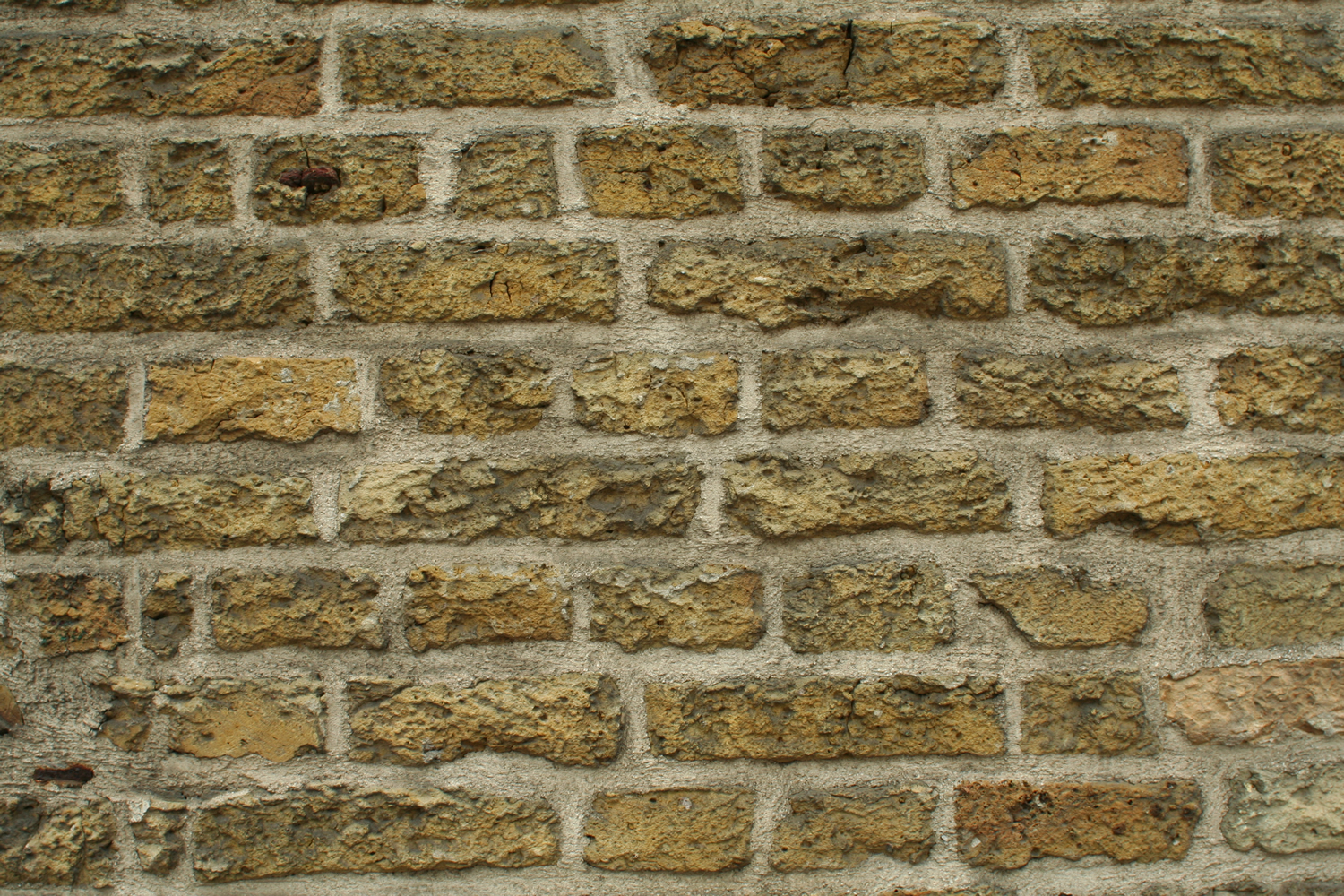 bricks, wall, background, texture