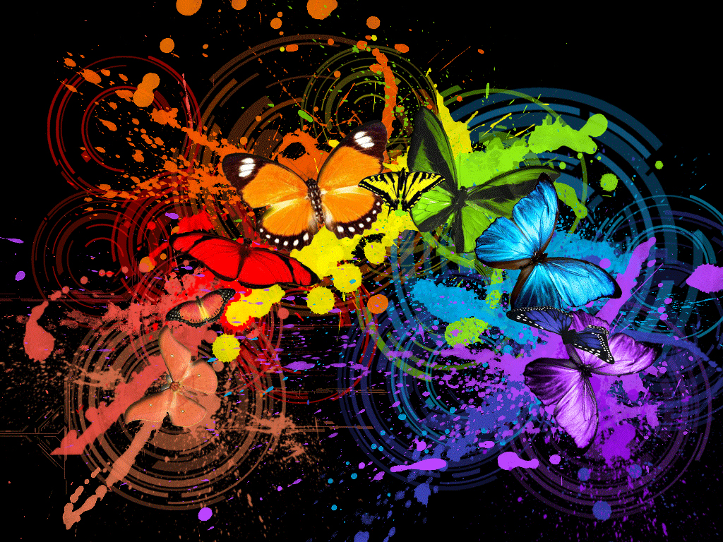 Download wallpaper: multicolored Butterflies, butterfly wallpaper 