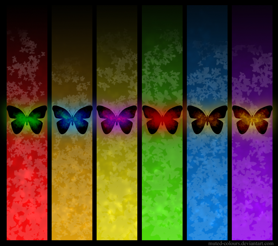 Butterflies All flowers rainbow, download photo, wallpapers for desktop