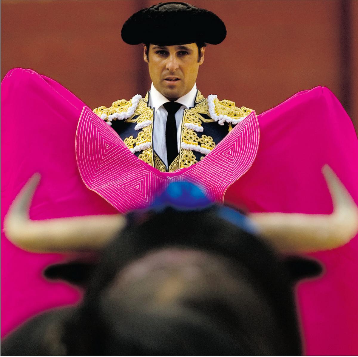 bull and matador, photo, download wallpapers for desktop,  bulls, corrida