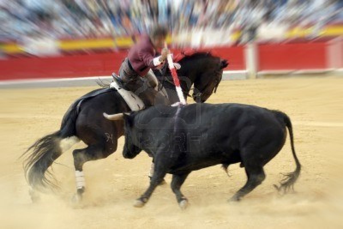  corrida, download photo, wallpapers for desktop,  bulls