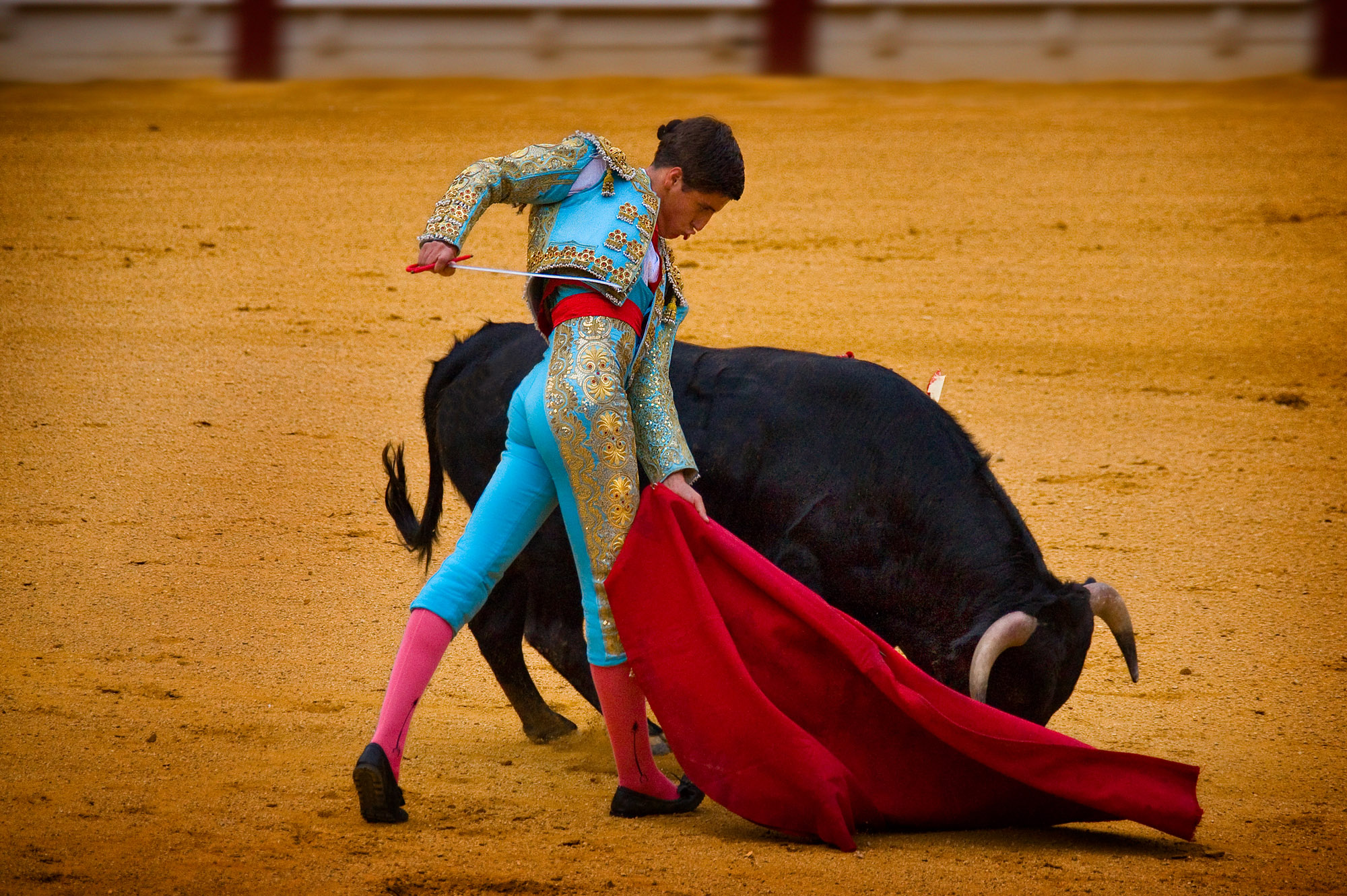 corrida, download photo, matador, desktop wallpapers, bull