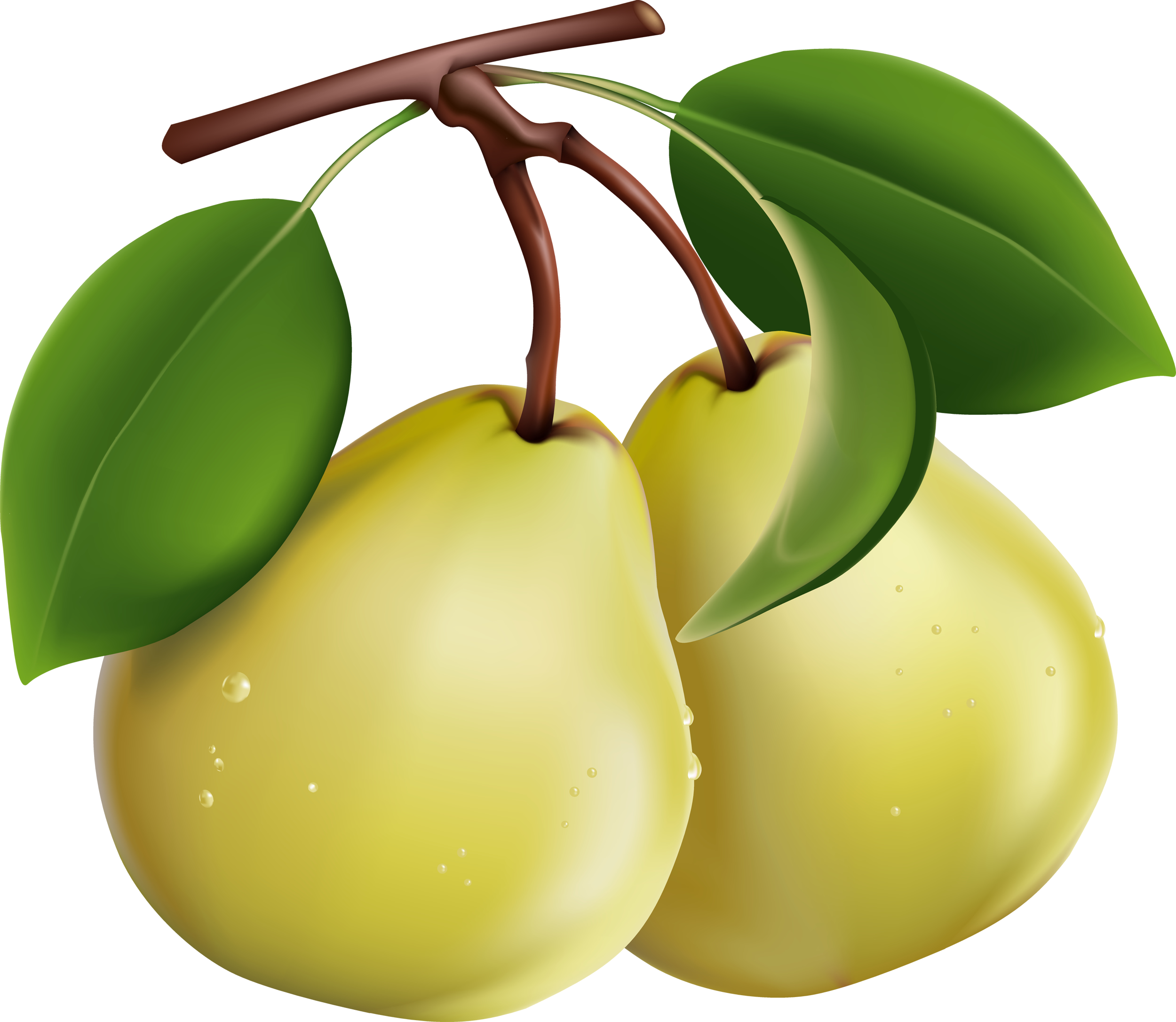 download clipart, Pears, photo