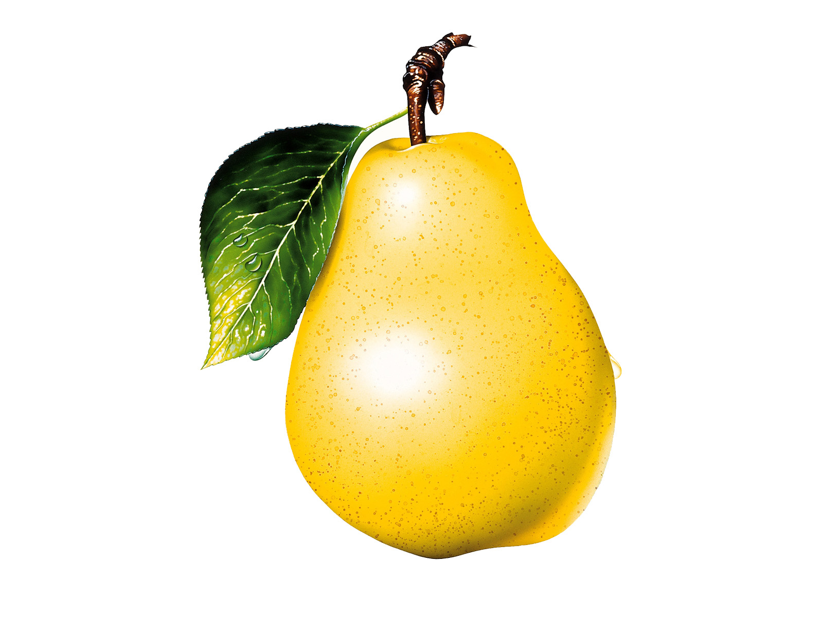 pear, clipart, photo, download