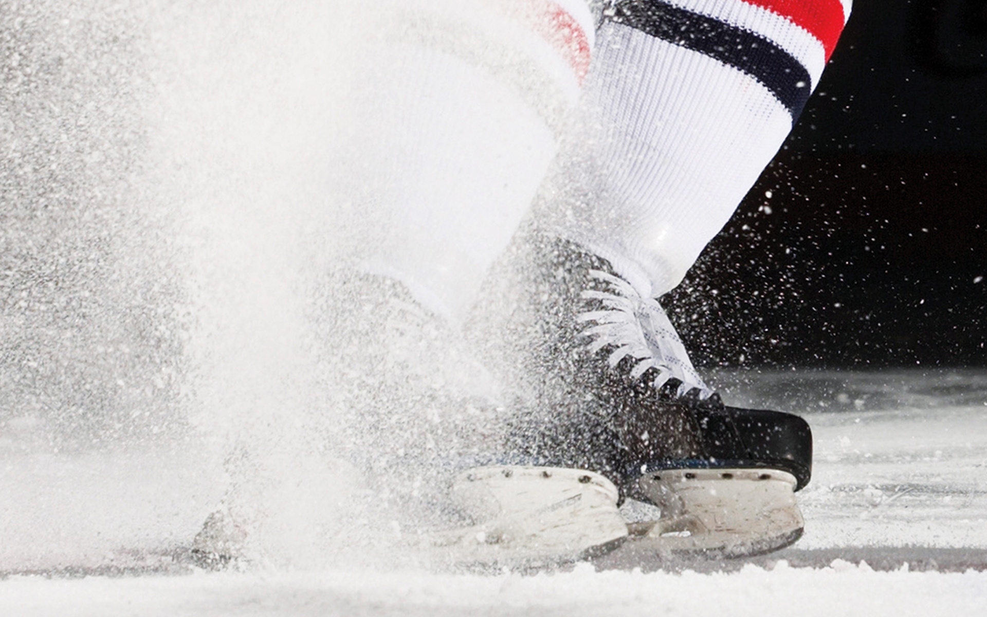 Hockey, horse ice, download photo
