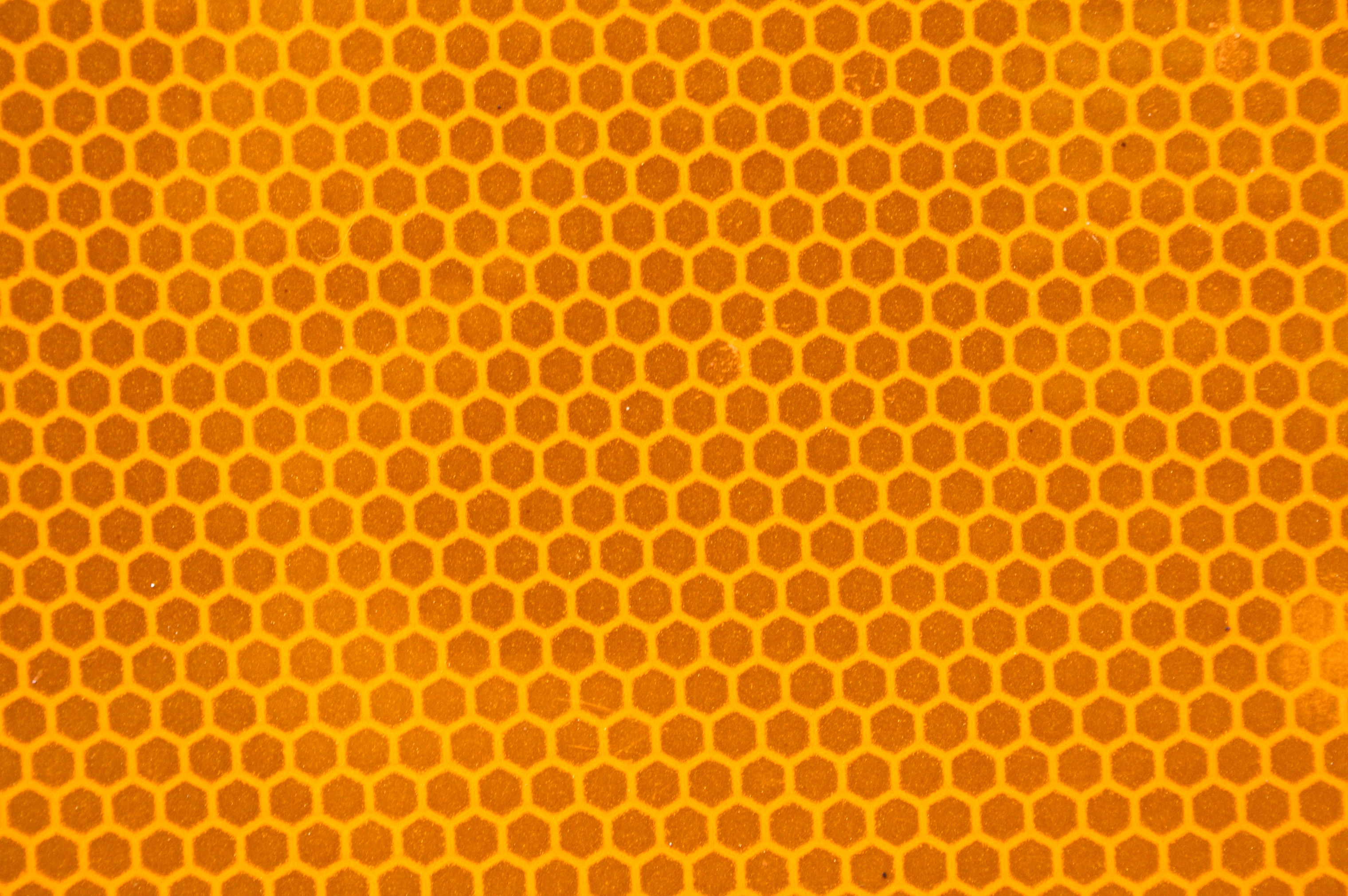 honey honeycomb, download photo, desktop wallpapers, textures 