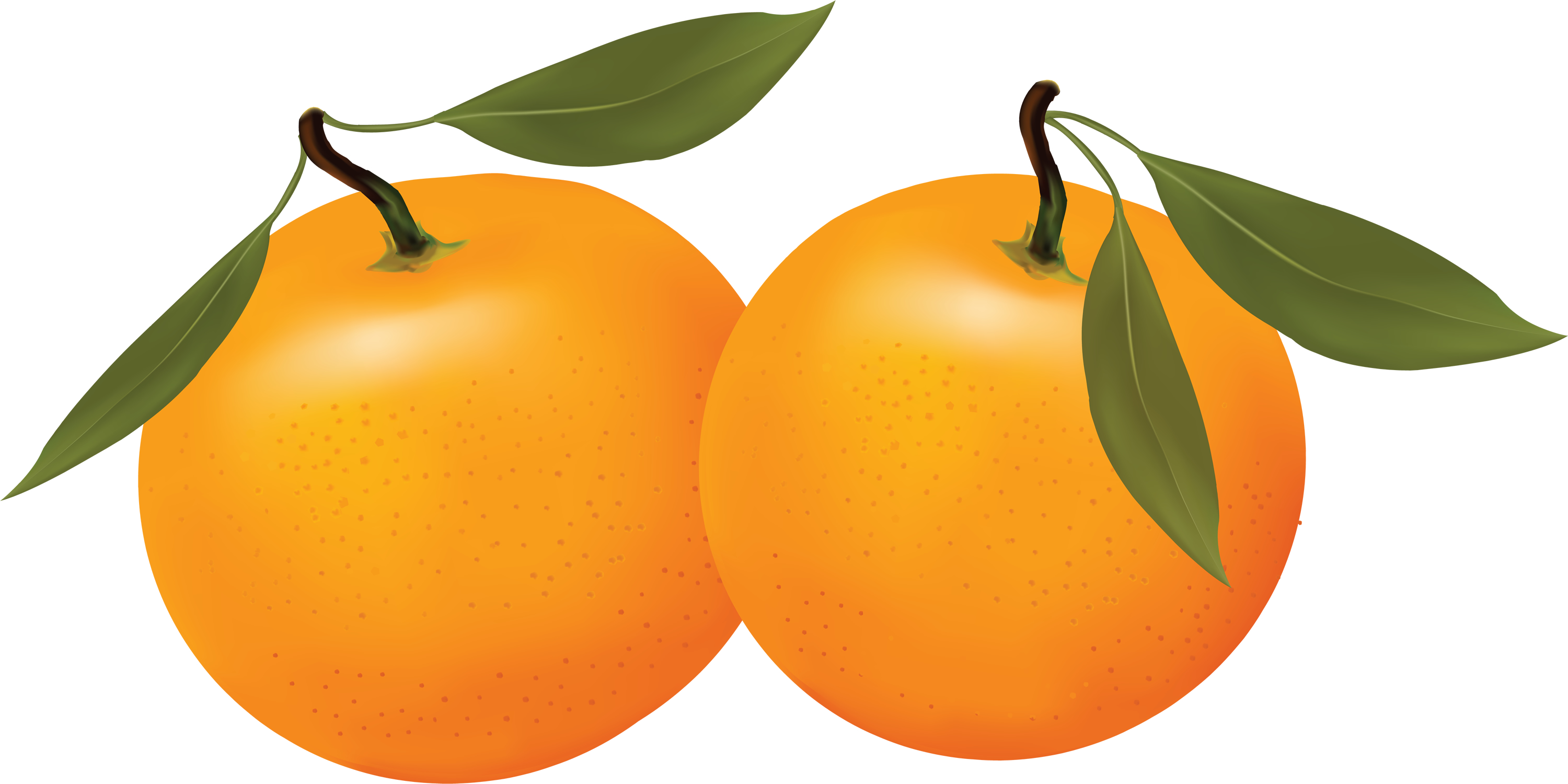 clipart apples and oranges - photo #17