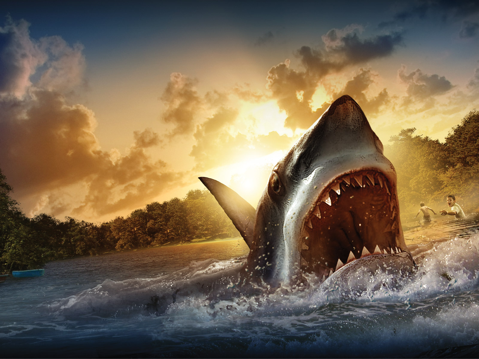 beautiful picture, shark, wallpapers for desktop, download photo