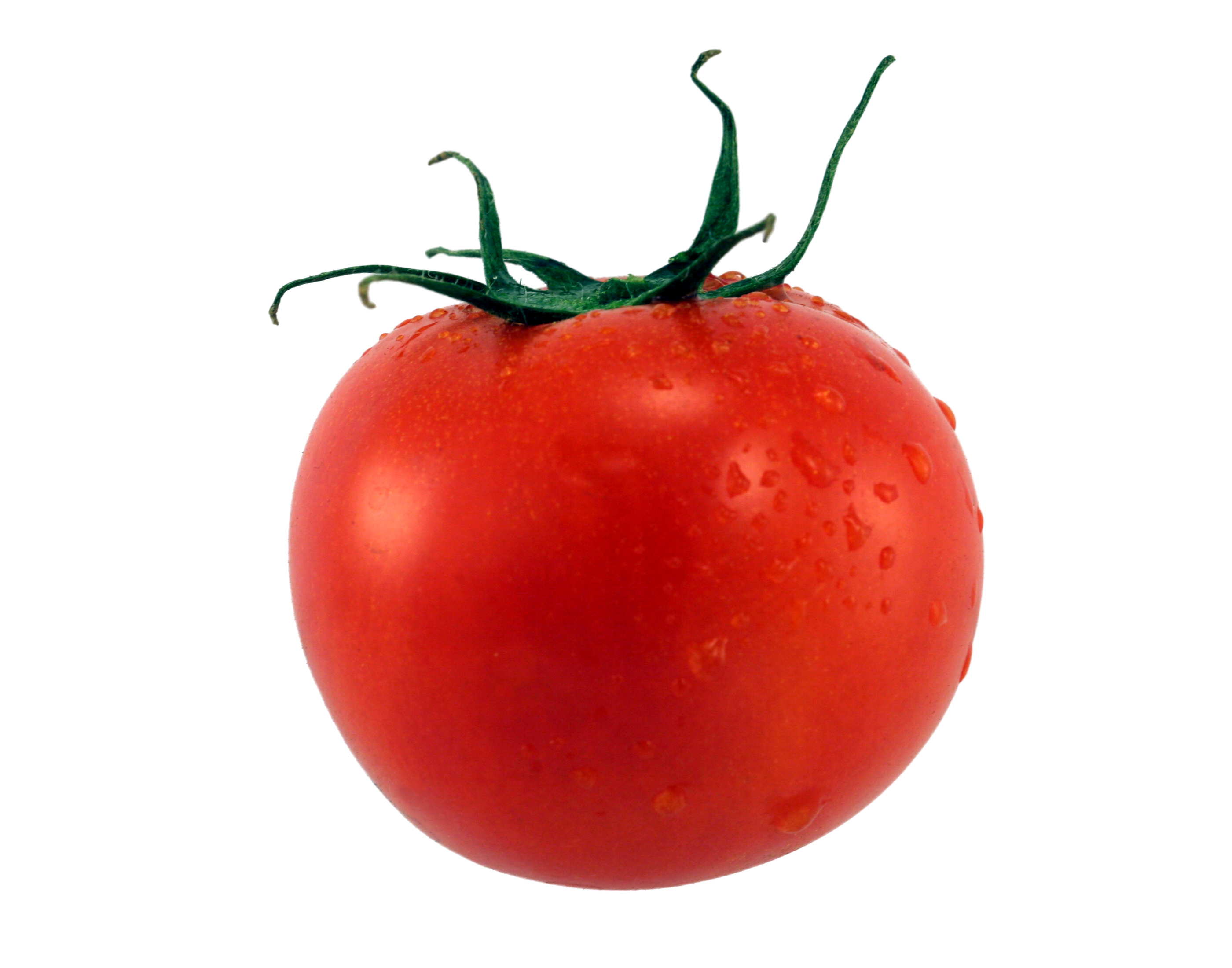 tomato, photo, wallpapers, download
