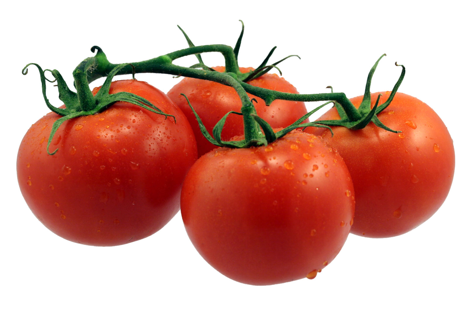 Tomatoes, photo, desktop wallpapers