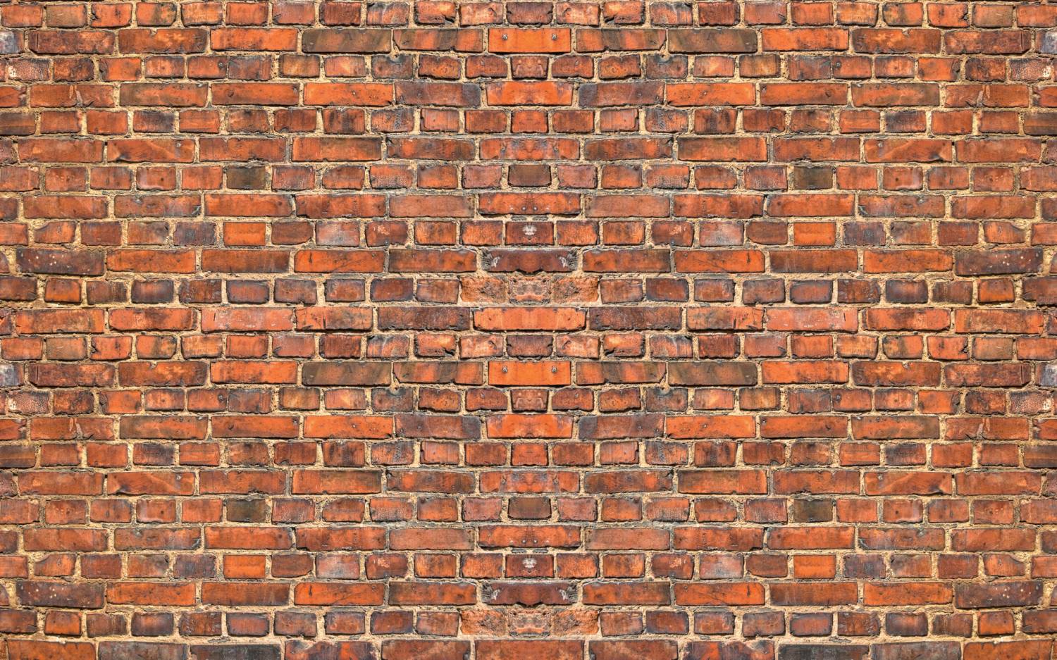 bricks, Brick wall, photo, texture, download