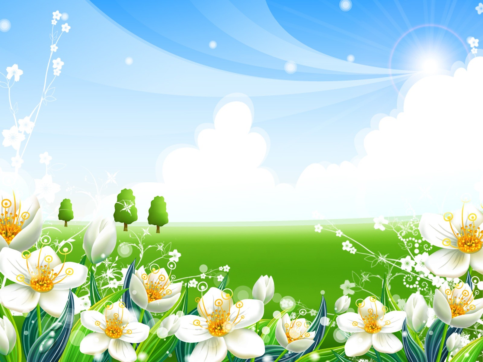 picture, clipart, wallpapers for desktop, Daisies,  