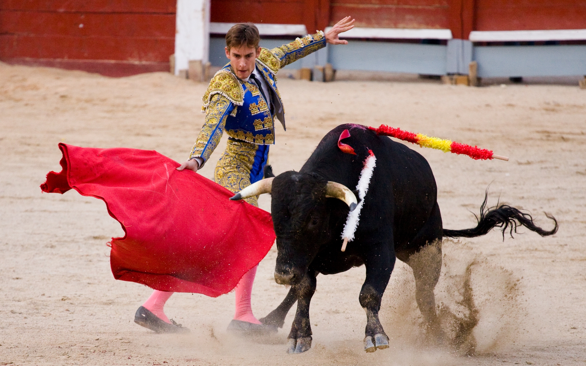 Image result for matador