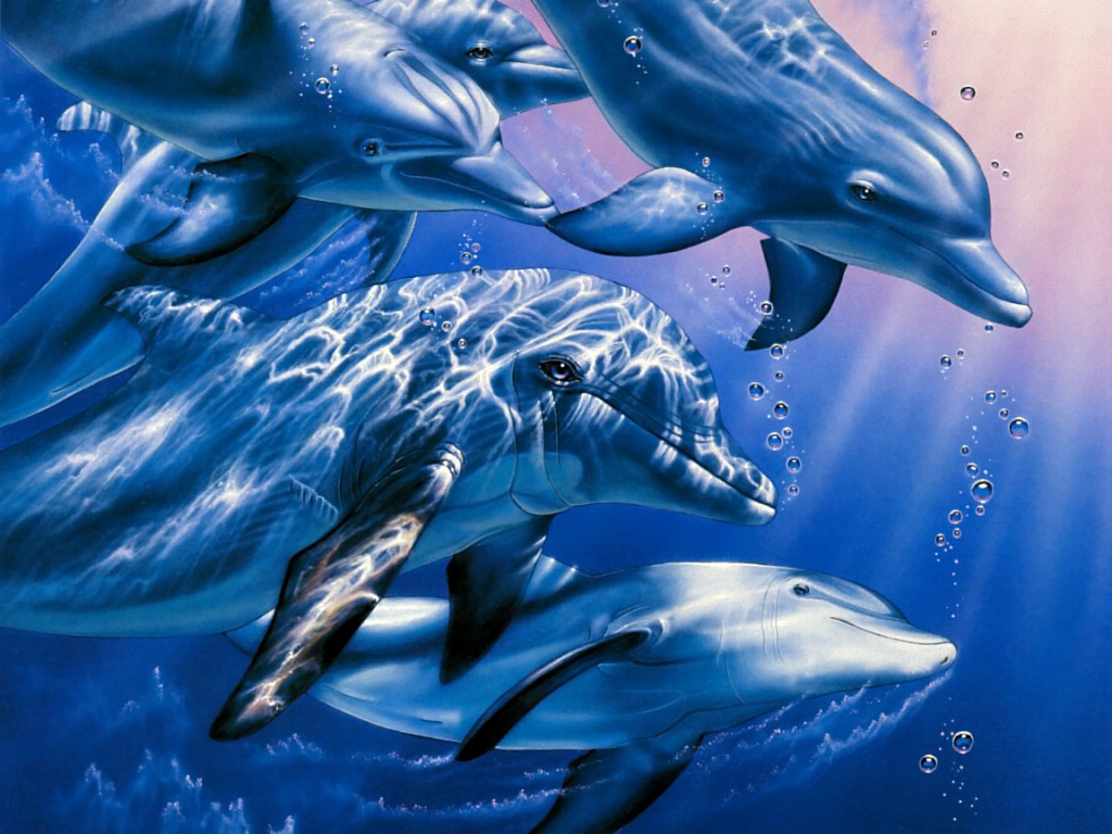 Dolphins in water, download photo, desktop wallpapers