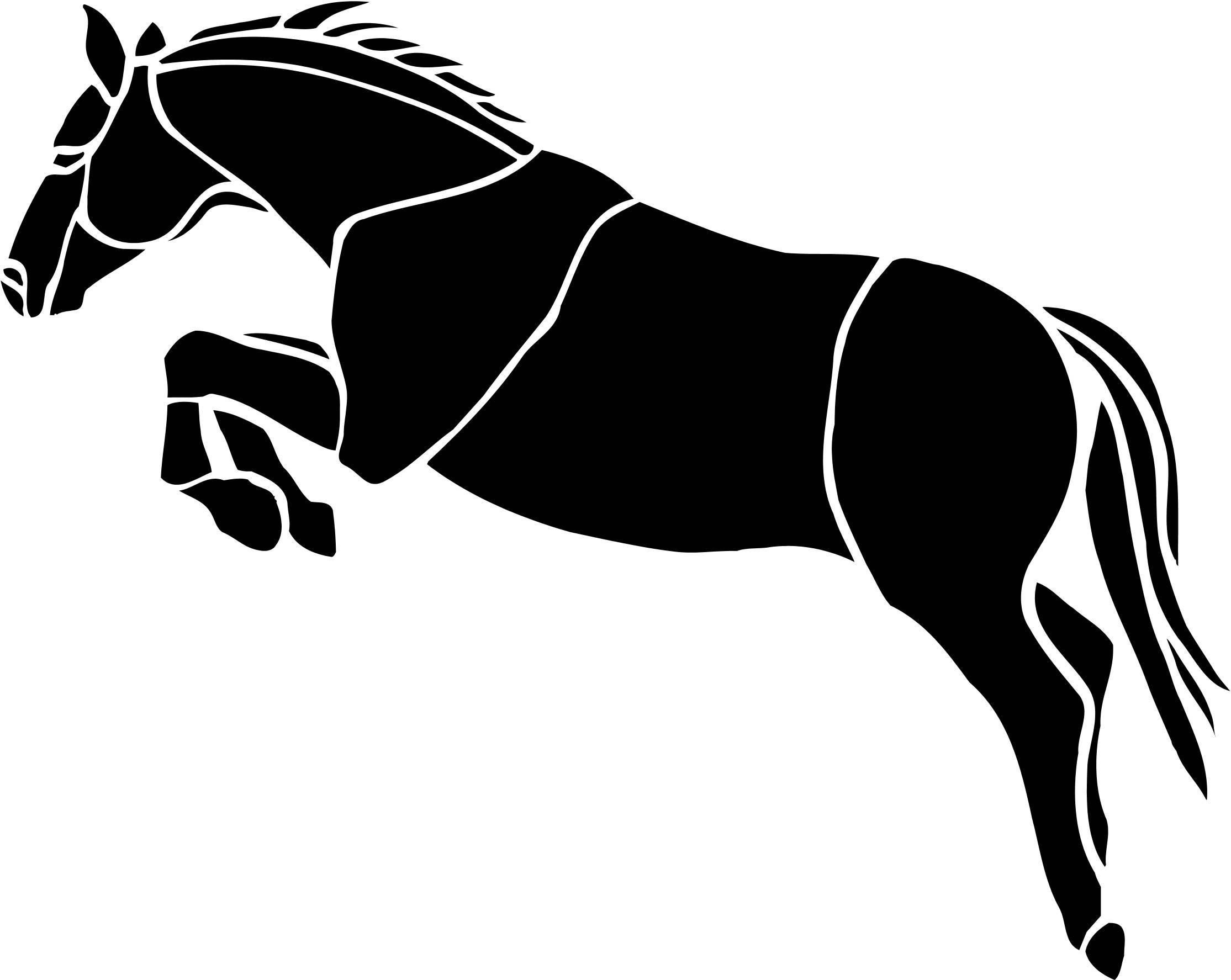 horse, black on white, photo, wallpapers