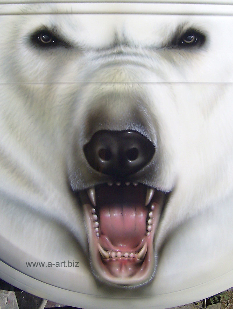 picture, white bear, download, grin, photo, wallpapers for desktop