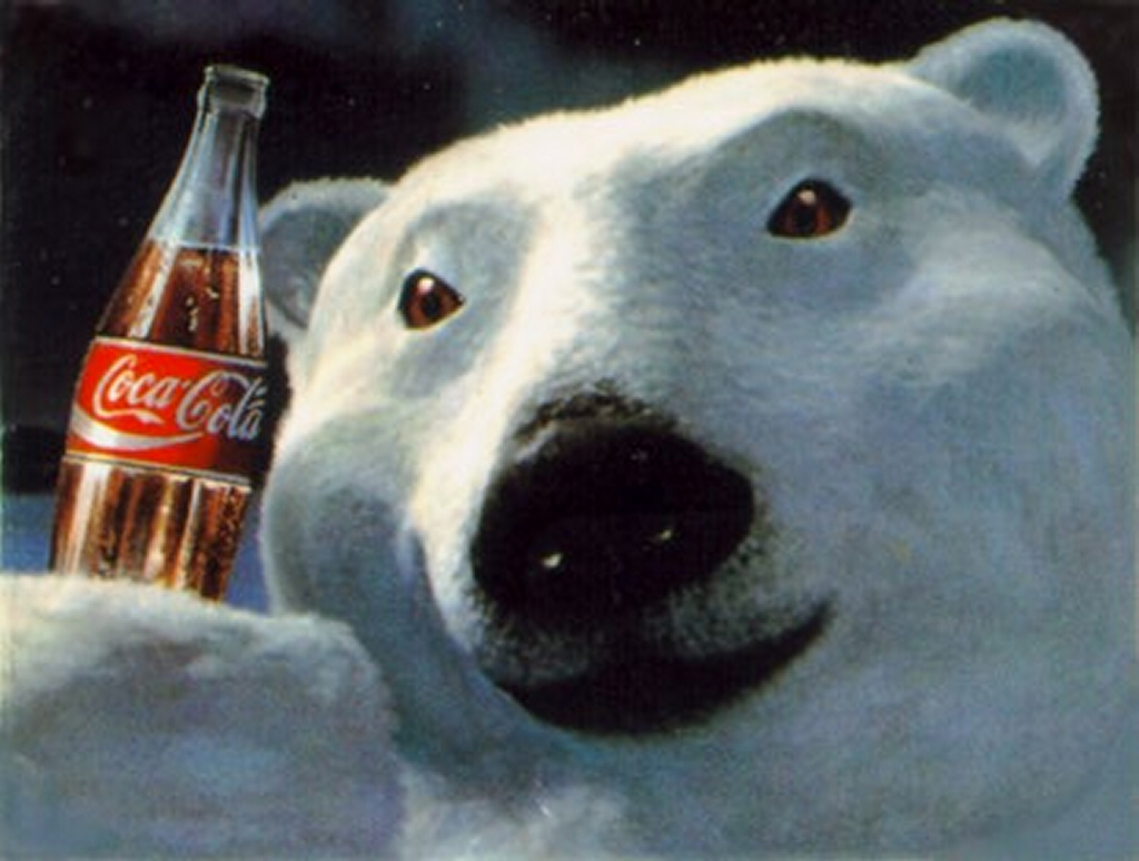 white polar bear, coca cola wallpaper, download photo, wallpapers for desktop