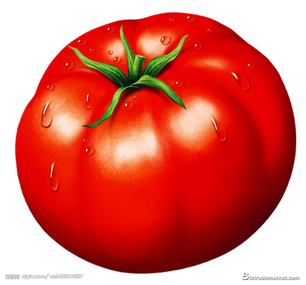 tomato, clipart, download photo, 