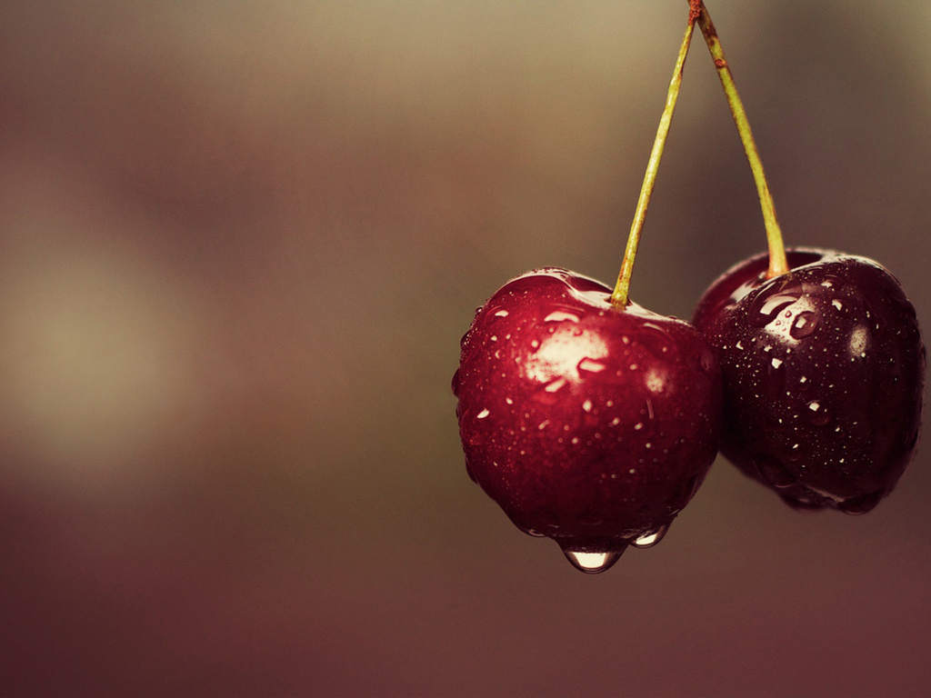 Cherry, wallpapers, photo,  water, download