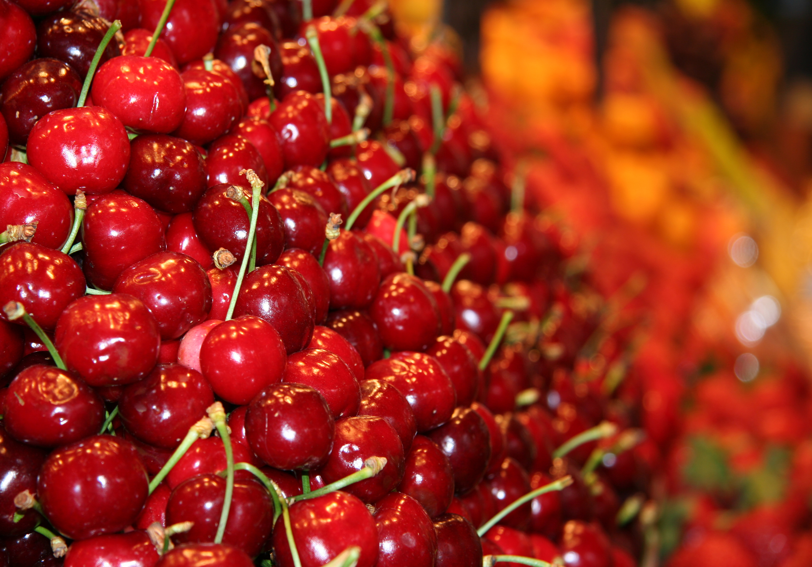 many cherry, , photo wallpapers