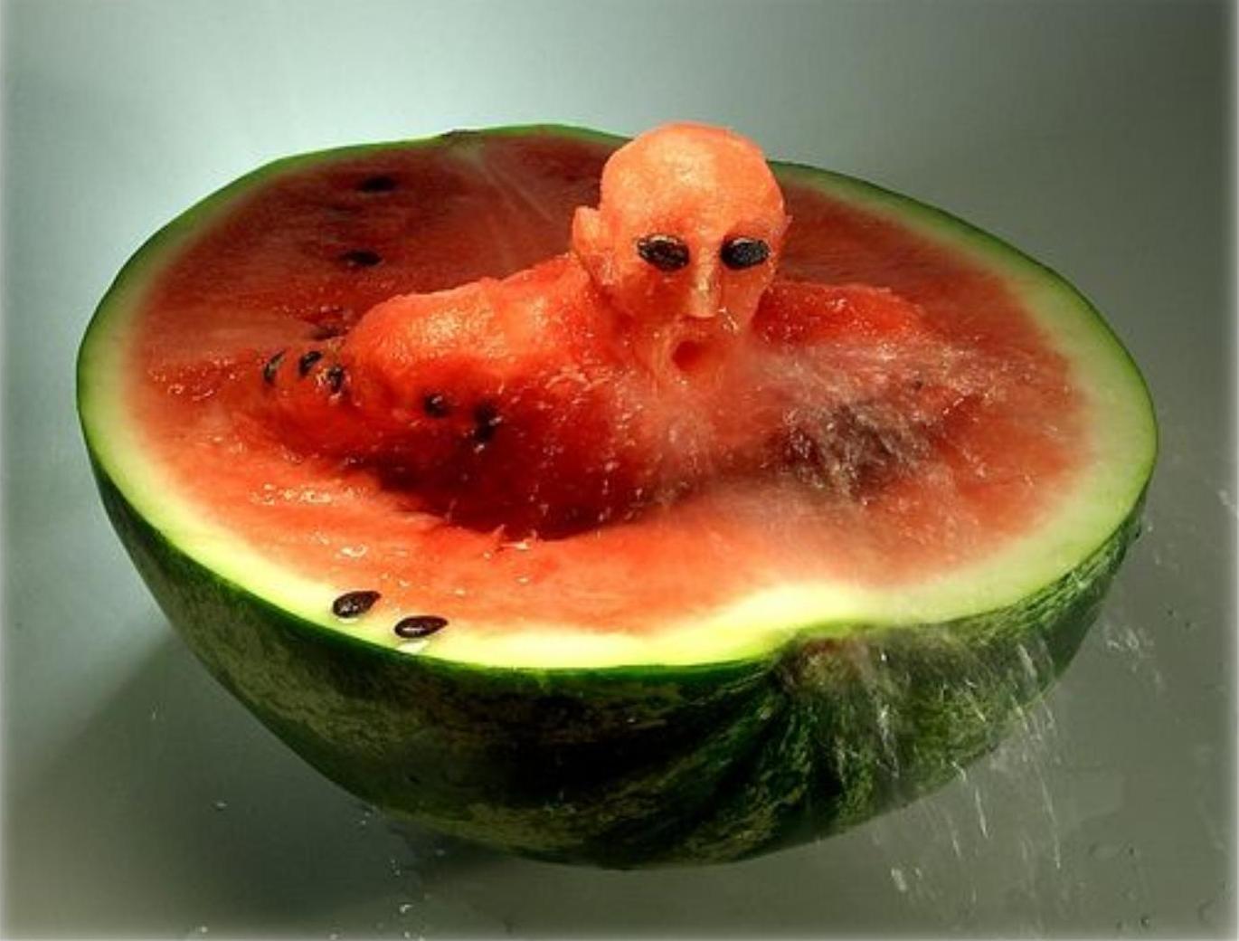watermelon monster, photo, wallpapers for desktop